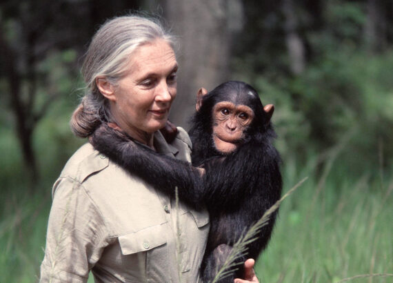 En sus viajes por más de 60 países, Jane no solo hablaba. Escuchaba. Y amplificaba las voces que el sistema quería silenciar.